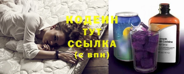 шишки Заволжье