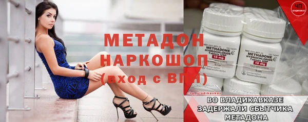 шишки Заволжье