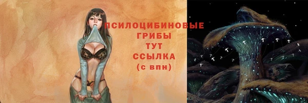 шишки Заволжье