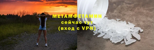 шишки Заволжье