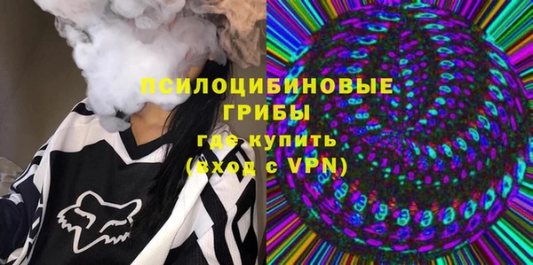 шишки Заволжье
