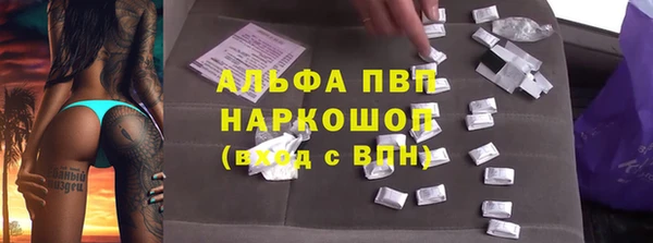 стафф Заволжск