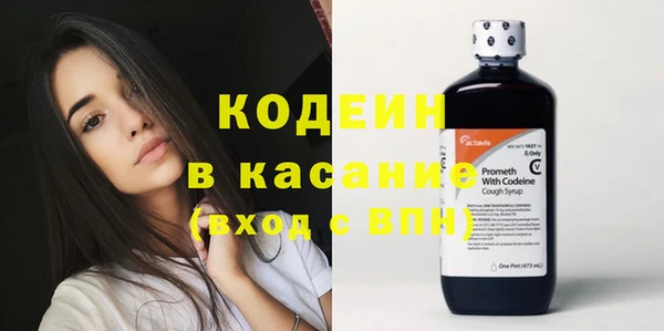 шишки Заволжье