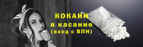шишки Заволжье