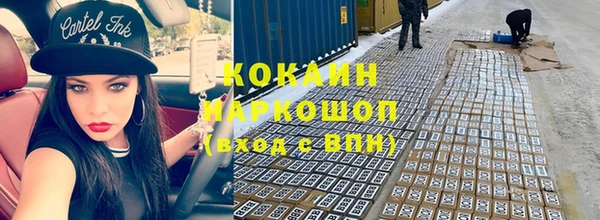 шишки Заволжье