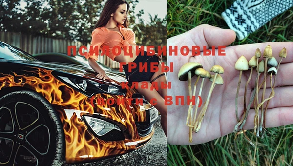 стафф Заволжск