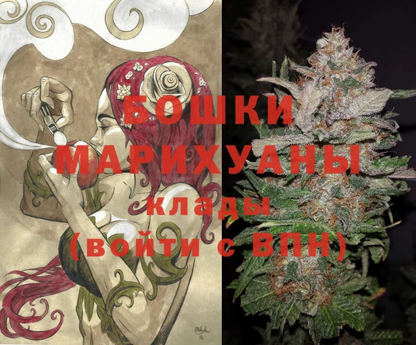 стафф Заволжск