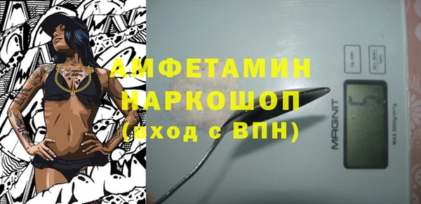 шишки Заволжье