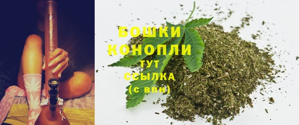 шишки Заволжье