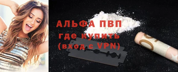 стафф Заволжск