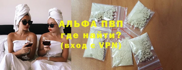 шишки Заволжье