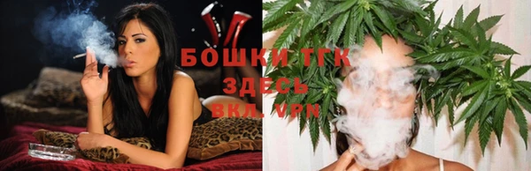 шишки Заволжье