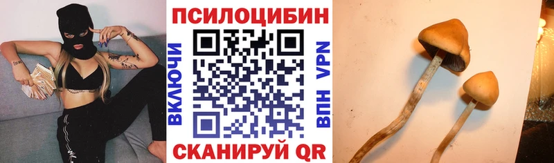 Галлюциногенные грибы мухоморы  Купить где  Кстово 